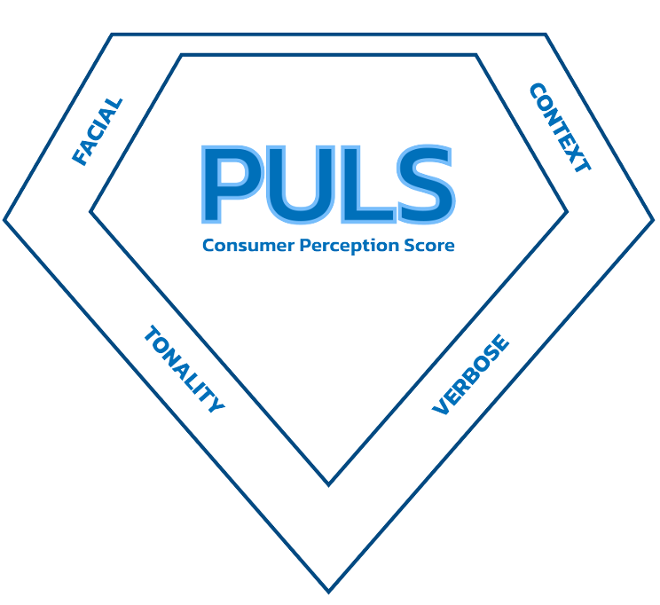 PULS Logo